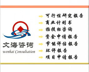 皮革項目商業(yè)計劃書編制服務 價格、規(guī)格與專業(yè)咨詢